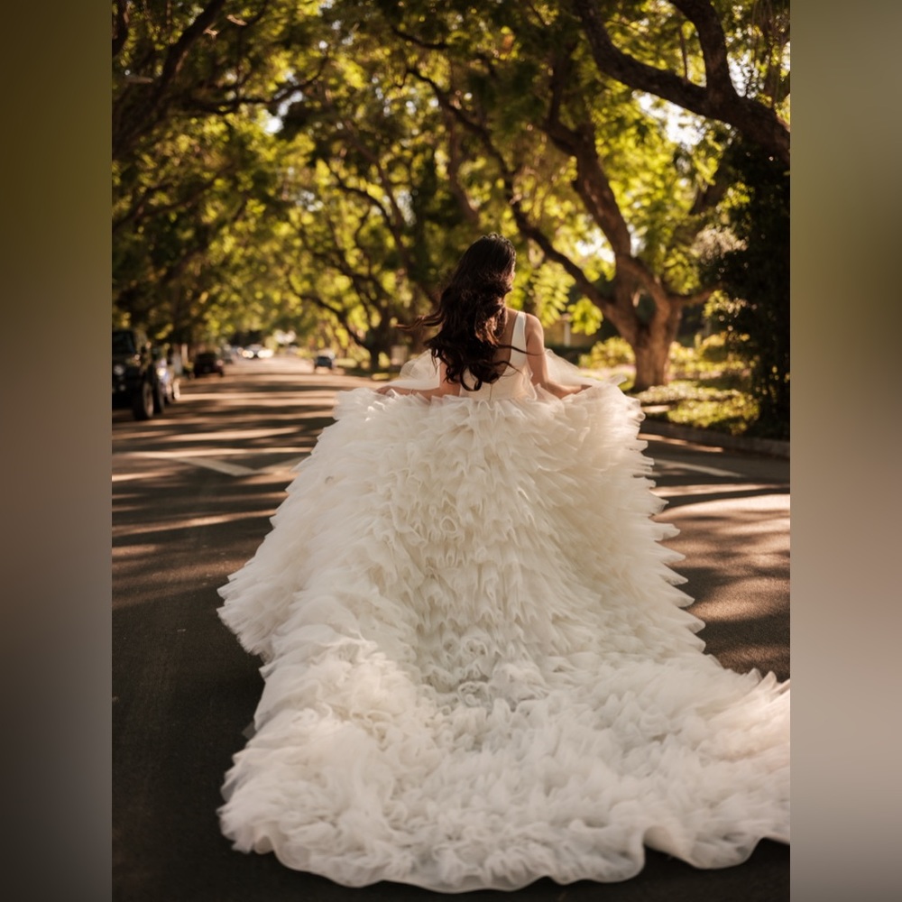 Gorgeous BRIDAL DRESS + VEIL & petticoat included  (cleaned & preserved)